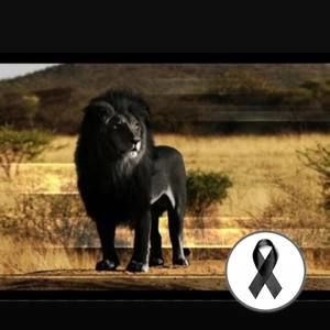 Meet your Posher, Freddy